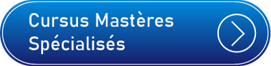 Cursus MS