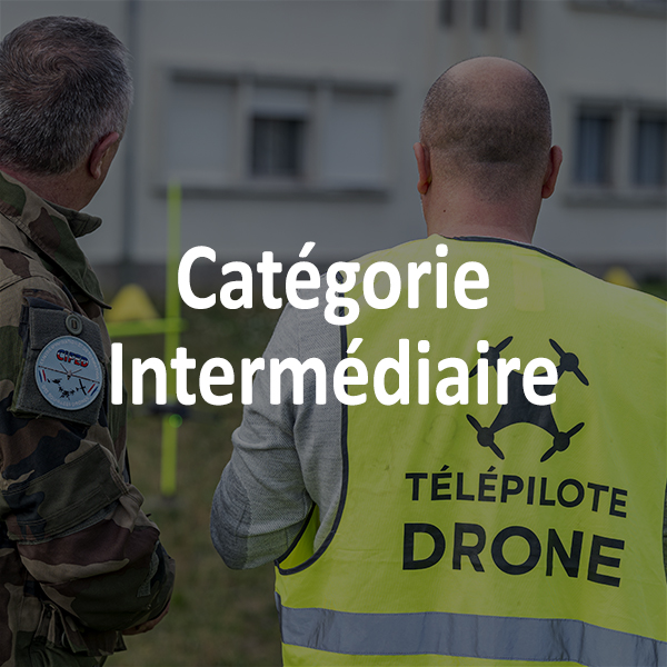 Formation Théorique Intermédiaire - Aéronautique d'Etat